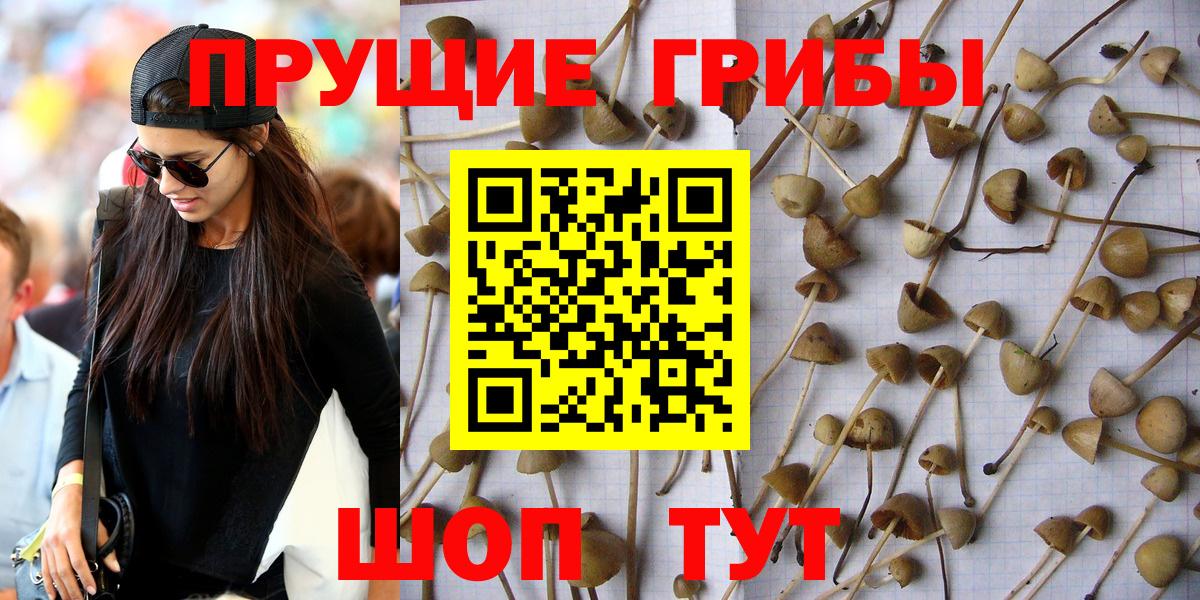 Псилоцибиновые грибы ЛСД Новоуральск