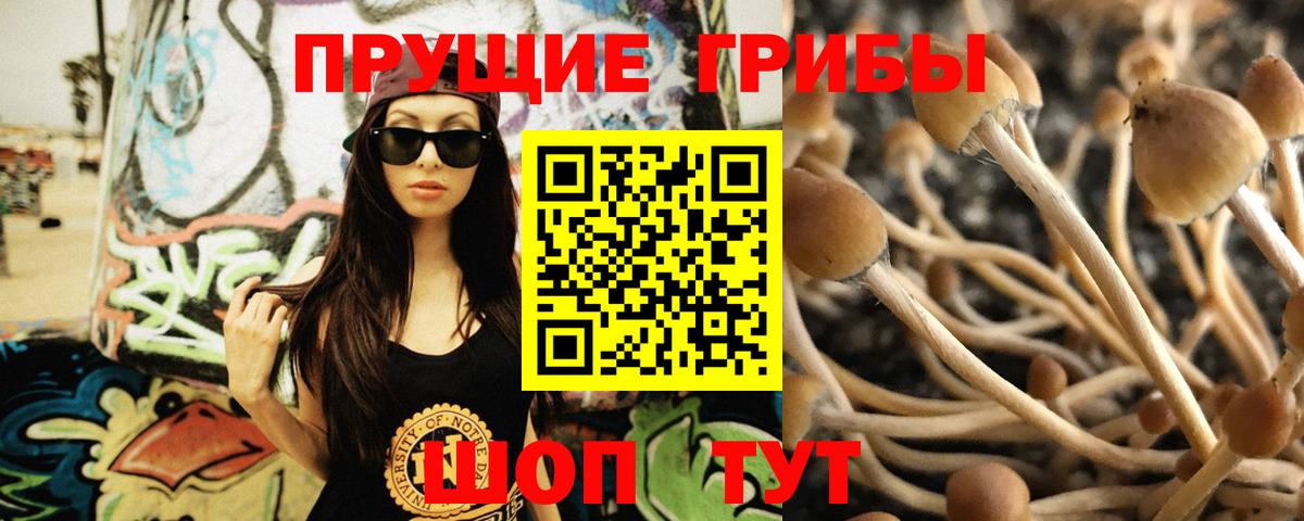 Псилоцибиновые грибы мухоморы  Вход с VPN  Галлюциногенные грибы GOLDEN TEACHER  Новоуральск 